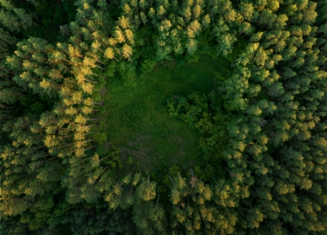 Nascent Infotechnologies Pvt. Ltd.